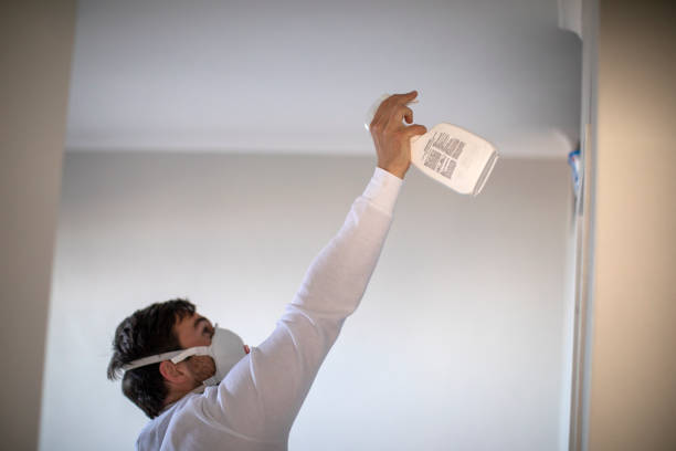 Best Affordable Mold Removal  in Moose Wilson Road, WY