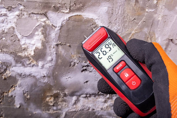  Moose Wilson Road, WY Mold Removal Pros