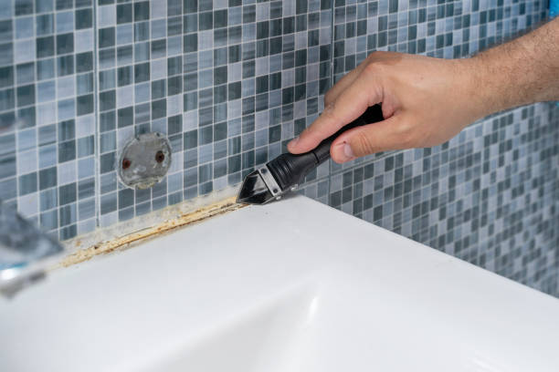 Best Same-Day Mold Removal  in Moose Wilson Road, WY